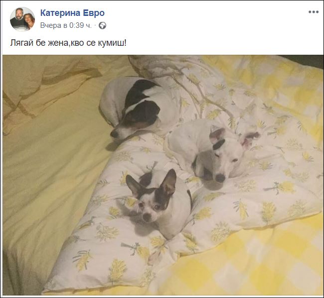 Катето Евро спи с 3 песа