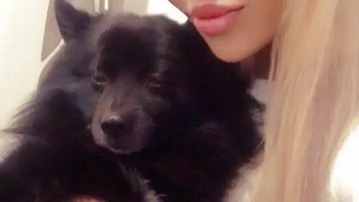 Адриана отказала на Вип брадър