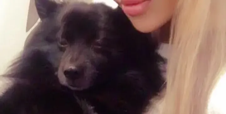 Адриана отказала на Вип брадър