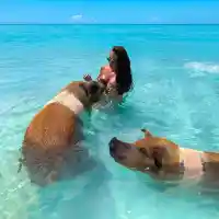 Николета предпочете прасетата на Бахамите пред компанията на Нора Недкова (СНИМКИ)