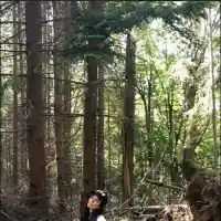 Преслава се вталява в гората