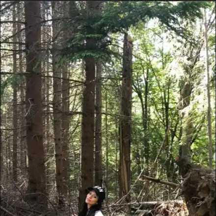 Преслава се вталява в гората