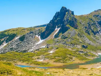 Again the disguise of the „environmentalists” was blown off