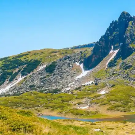 Again the disguise of the „environmentalists” was blown off