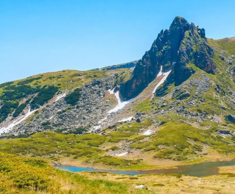 Again the disguise of the „environmentalists” was blown off