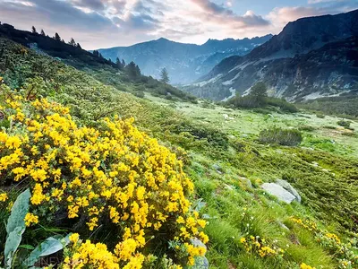 An. Todorov, the leader of the Green Party parliament party in Blagoevgrad lost the case against the journalist M. Dimitrova