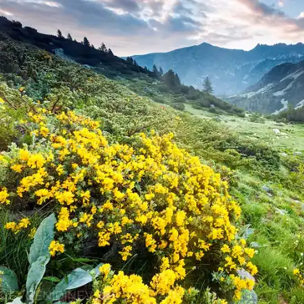 An. Todorov, the leader of the Green Party parliament party in Blagoevgrad lost the case against the journalist M. Dimitrova