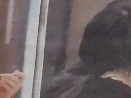 Божинов глези Биляна като принцеса, храни я дори в устата