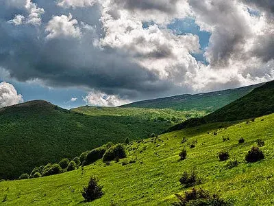 Contrera: The Greens put Sofia Regional Council, in the trap of the lifts