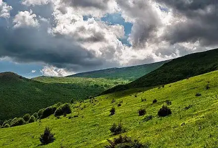 Contrera: The Greens put Sofia Regional Council, in the trap of the lifts