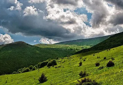 Contrera: The Greens put Sofia Regional Council, in the trap of the lifts