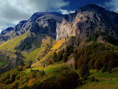 Ecologists stopped the affore station of 650 decares in Plovdiv