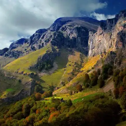 Ecologists stopped the affore station of 650 decares in Plovdiv