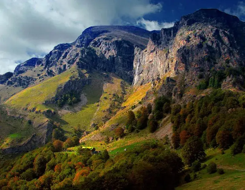 Ecologists stopped the affore station of 650 decares in Plovdiv