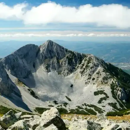 Furious scandal on air! Karolev betted the Greens and sent them to drink „some cold water”