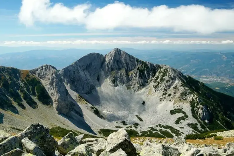 Furious scandal on air! Karolev betted the Greens and sent them to drink „some cold water”