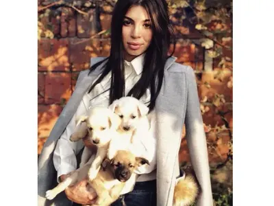 МЕГЗ разгневи организациите за бездомни кучета