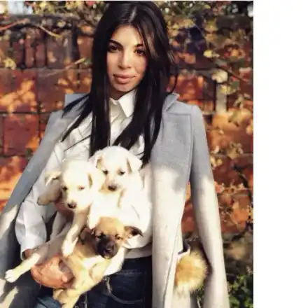 МЕГЗ разгневи организациите за бездомни кучета