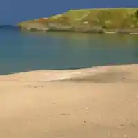 Pseudo-ecologists want 2.5 milliard for Coral–the police investigate them for vandalism