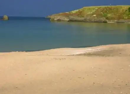 Pseudo-ecologists want 2.5 milliard for Coral–the police investigate them for vandalism