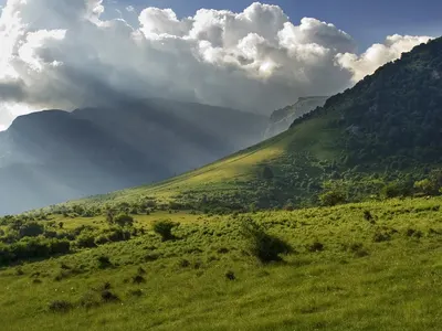 Serbia builds summer ski slopes in a national park. Toma Belev does not allow anything happens in Bulgaria