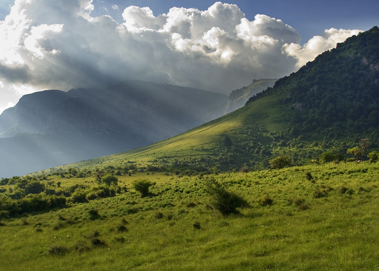 Serbia builds summer ski slopes in a national park. Toma Belev does not allow anything happens in Bulgaria