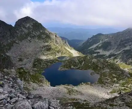 The confidence in the Greens collapsed