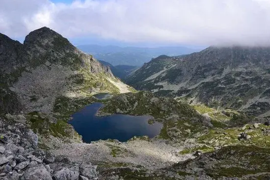 The confidence in the Greens collapsed