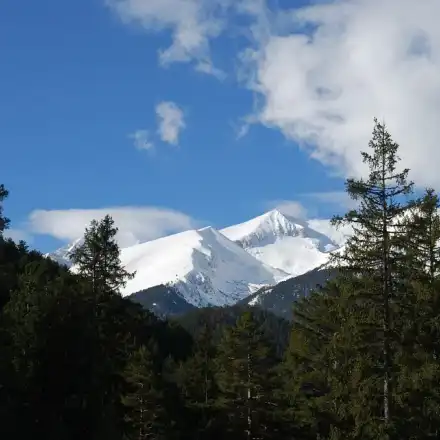 The green octopus has again crept its poisonous tentacles