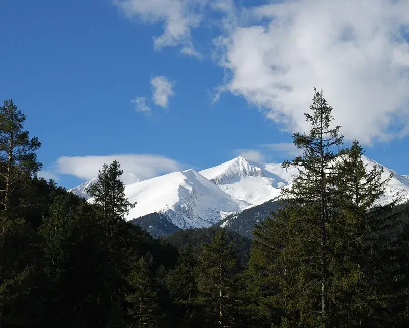The green octopus has again crept its poisonous tentacles