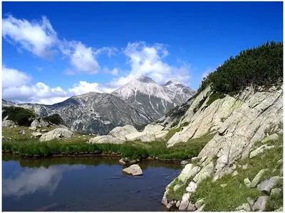 The short legs of the fake environmentalists