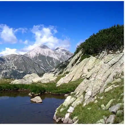 The short legs of the fake environmentalists