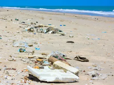 This is how the Green party of grant-takers turned into a bog the Coral beach