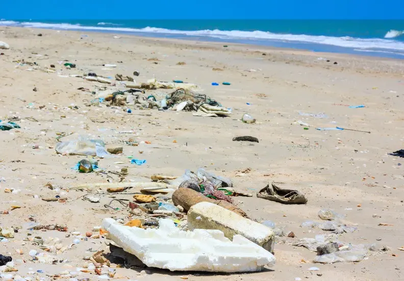 This is how the Green party of grant-takers turned into a bog the Coral beach