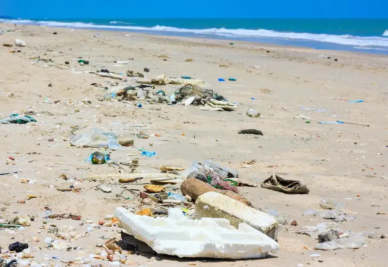 This is how the Green party of grant-takers turned into a bog the Coral beach