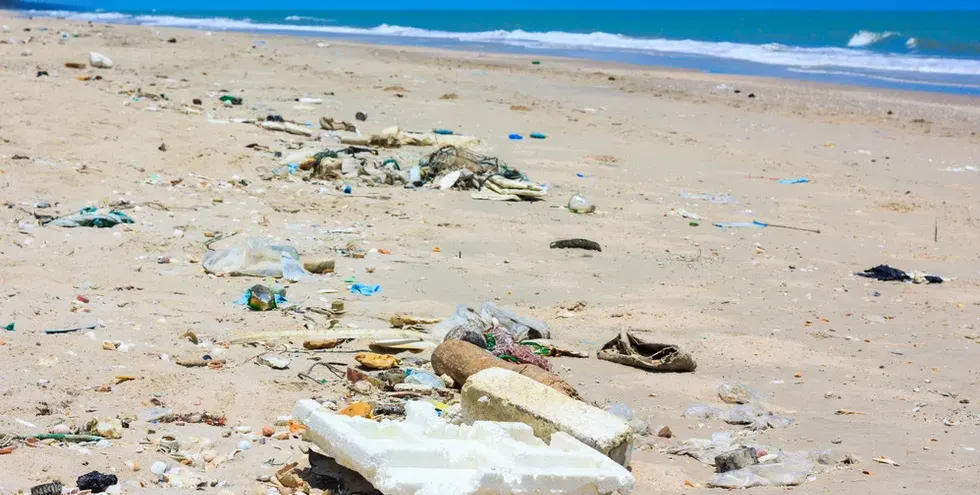 This is how the Green party of grant-takers turned into a bog the Coral beach