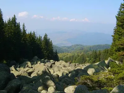 Toma Belev is lying for Vitosha Mountain and Borovets