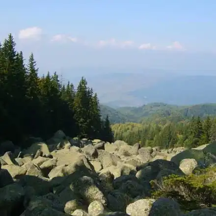 Toma Belev is lying for Vitosha Mountain and Borovets