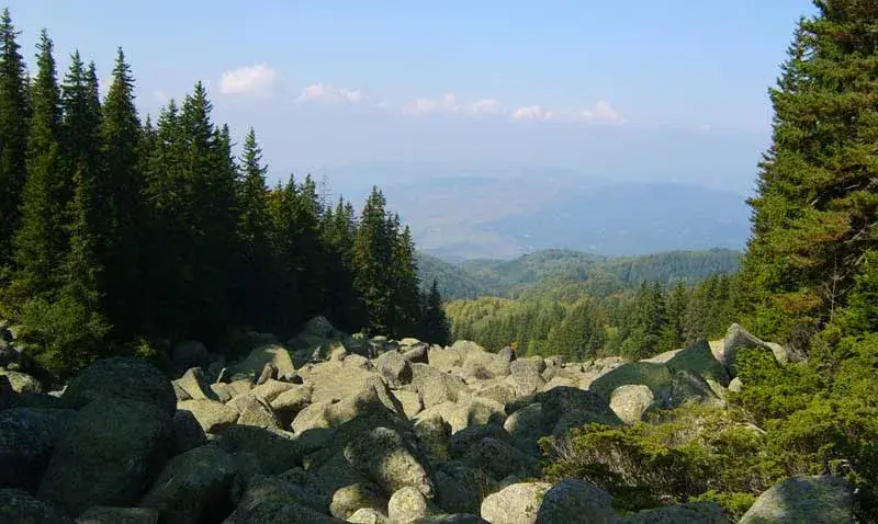Toma Belev is lying for Vitosha Mountain and Borovets
