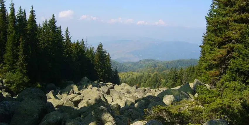 Toma Belev is lying for Vitosha Mountain and Borovets
