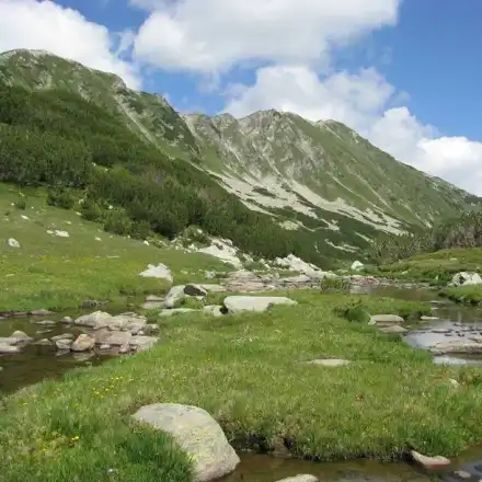 Toma Belev is taking Democratic Bulgaria downwards with his lies