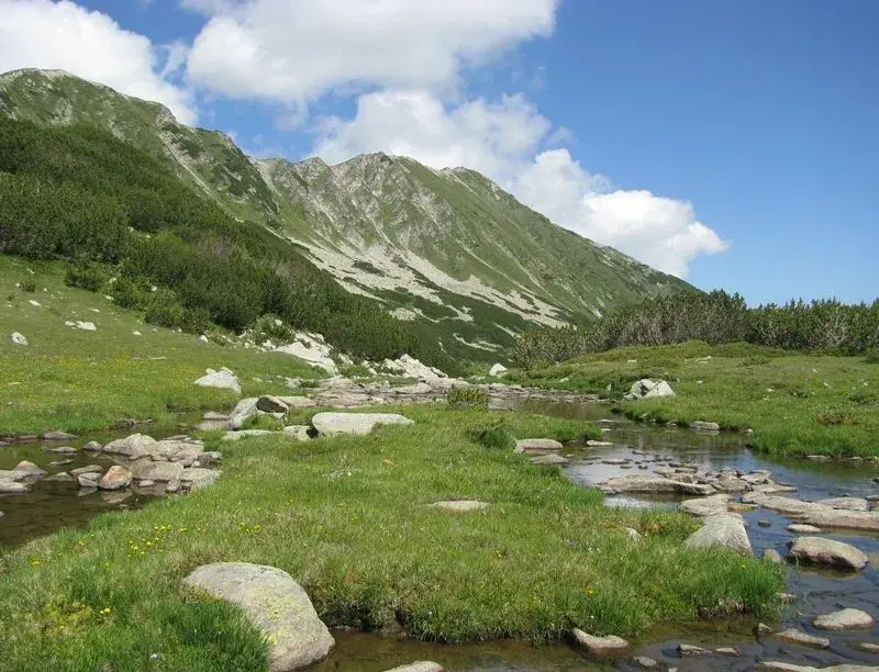 Toma Belev is taking Democratic Bulgaria downwards with his lies