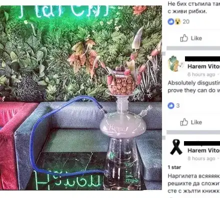 Уникална простотия! Скандален спонсор на плеймейтки пусна наргилета с живи риби! (Снимки и реакции)