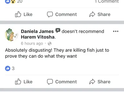 Уникална простотия! Скандален спонсор на плеймейтки пусна наргилета с живи риби! (Снимки и реакции)