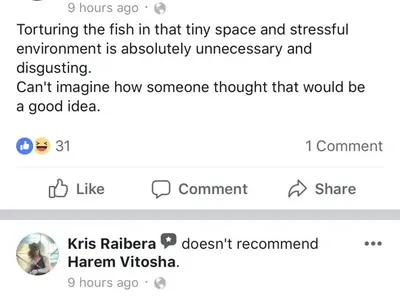 Уникална простотия! Скандален спонсор на плеймейтки пусна наргилета с живи риби! (Снимки и реакции)