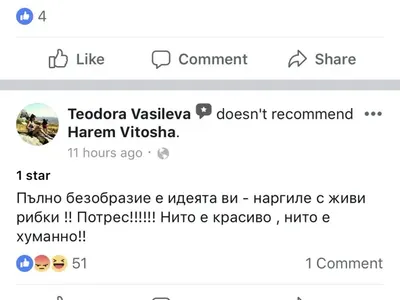 Уникална простотия! Скандален спонсор на плеймейтки пусна наргилета с живи риби! (Снимки и реакции)