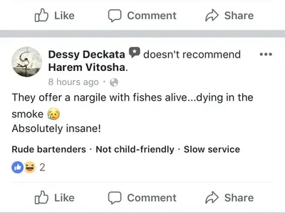 Уникална простотия! Скандален спонсор на плеймейтки пусна наргилета с живи риби! (Снимки и реакции)