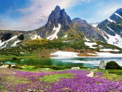 Valeri Simeonov denounced Toma Belev in spreading fake news