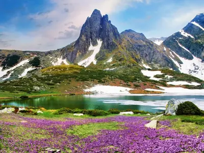 Valeri Simeonov denounced Toma Belev in spreading fake news