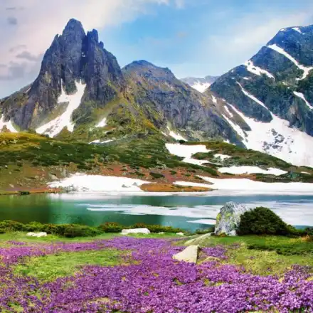 Valeri Simeonov denounced Toma Belev in spreading fake news